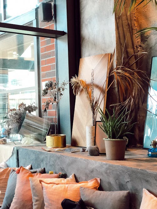 Potted Plants Near Glass Window