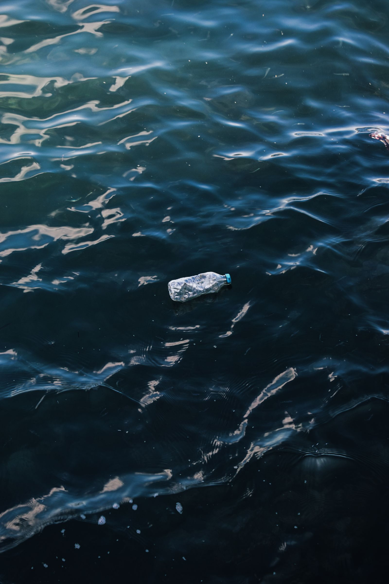 A plastic bottle floats on the surface of the ocean, illustrating the global plastic-pollution problem now linked to climate forcing.