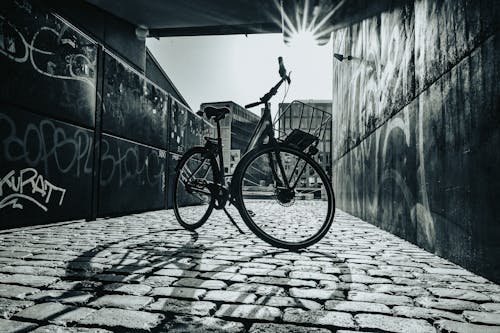 Fotos de stock gratuitas de aparcado, básquet, bici