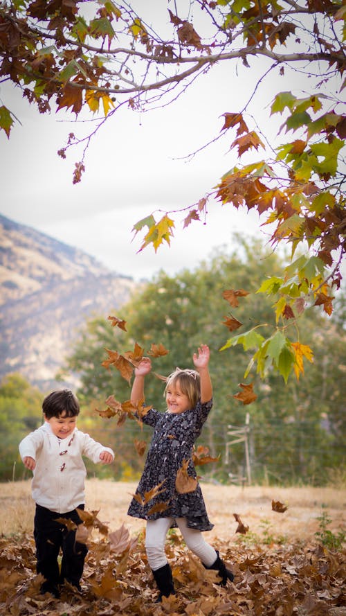 Free stock photo of children, colors of autumn, dried leaves