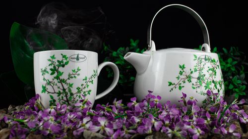 Free stock photo of beauty of nature, kettle Stock Photo