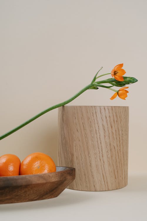 Tangerines on a Wooden Tray and a Stem of Flowers on a Wooden Block