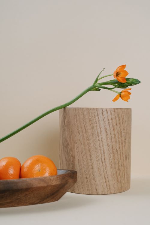 Free Elegant arrangement of tangerines and orange flowers in a minimalist setting, emphasizing natural textures. Stock Photo