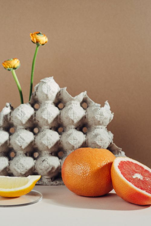 Free Minimalist still life with grapefruit and egg tray against brown backdrop. Stock Photo