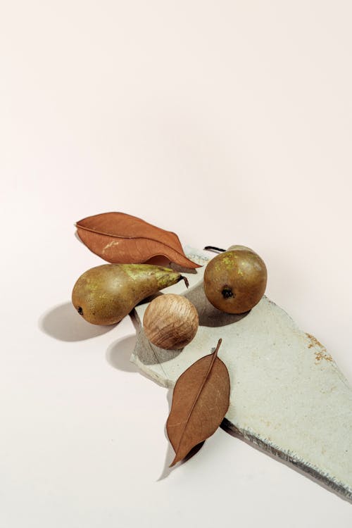 Fruits and Dried Leaves