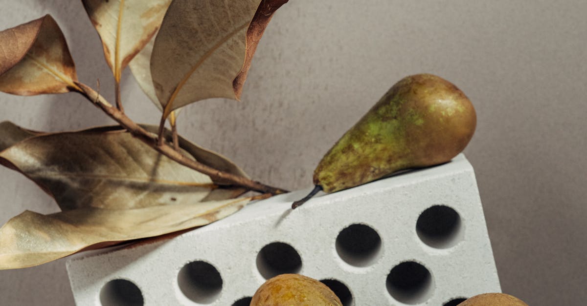 產業 食 力全開 2025台北國際食品系列展下週登場 攜手共創食品產業新浪潮