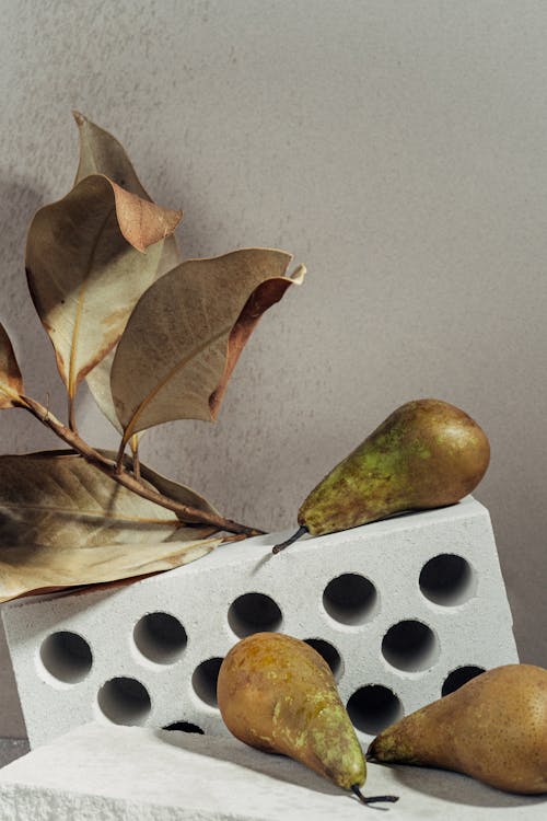 Still Life with Pears, Dry Leaves, and White Bricks