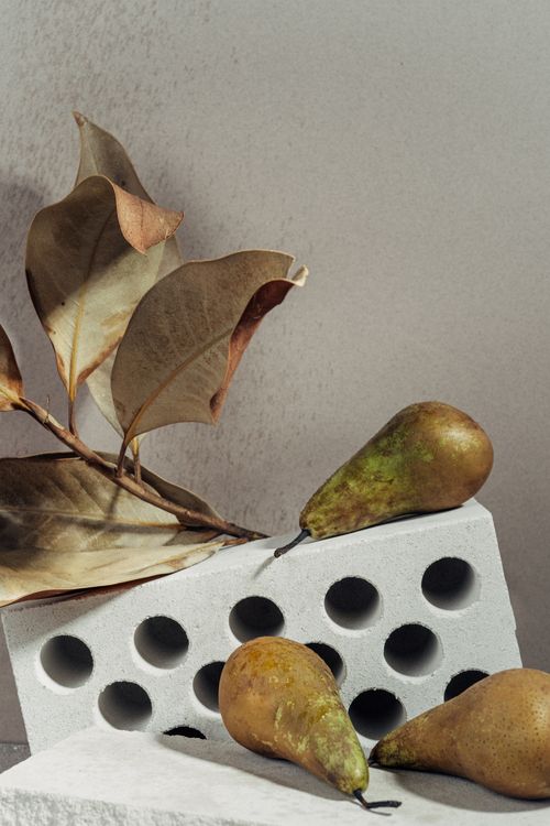 Free Artistic still life of pears and dry leaves against a textured background. Stock Photo
