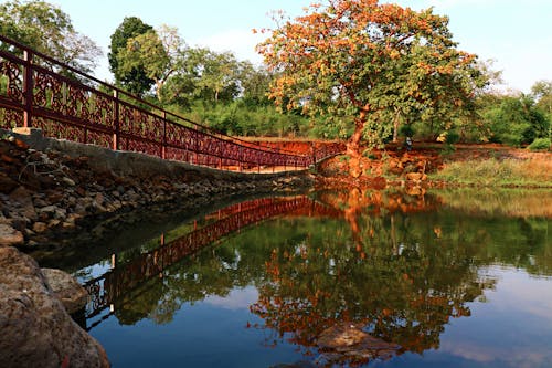 無料 穏やかな青い空の下の橋の横にある水域に木の反射 写真素材