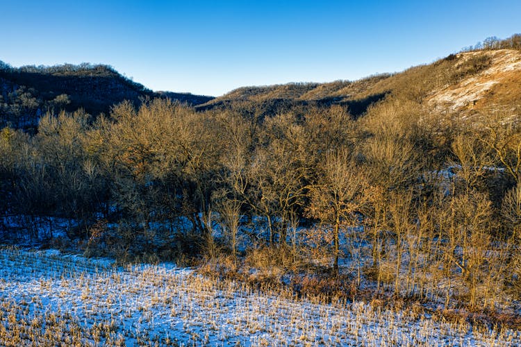 Field And Forest In Snowed Valley