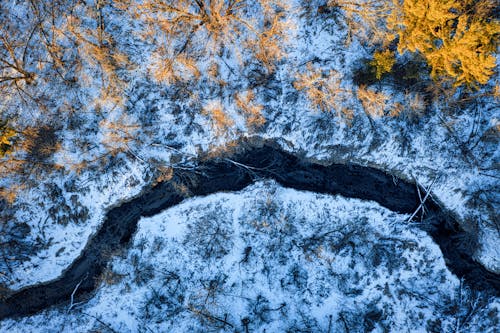 Aerial Photography of Trees and a River