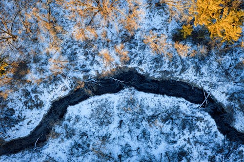 Imagine de stoc gratuită din apă curgătoare, arbori, fotografie aeriană