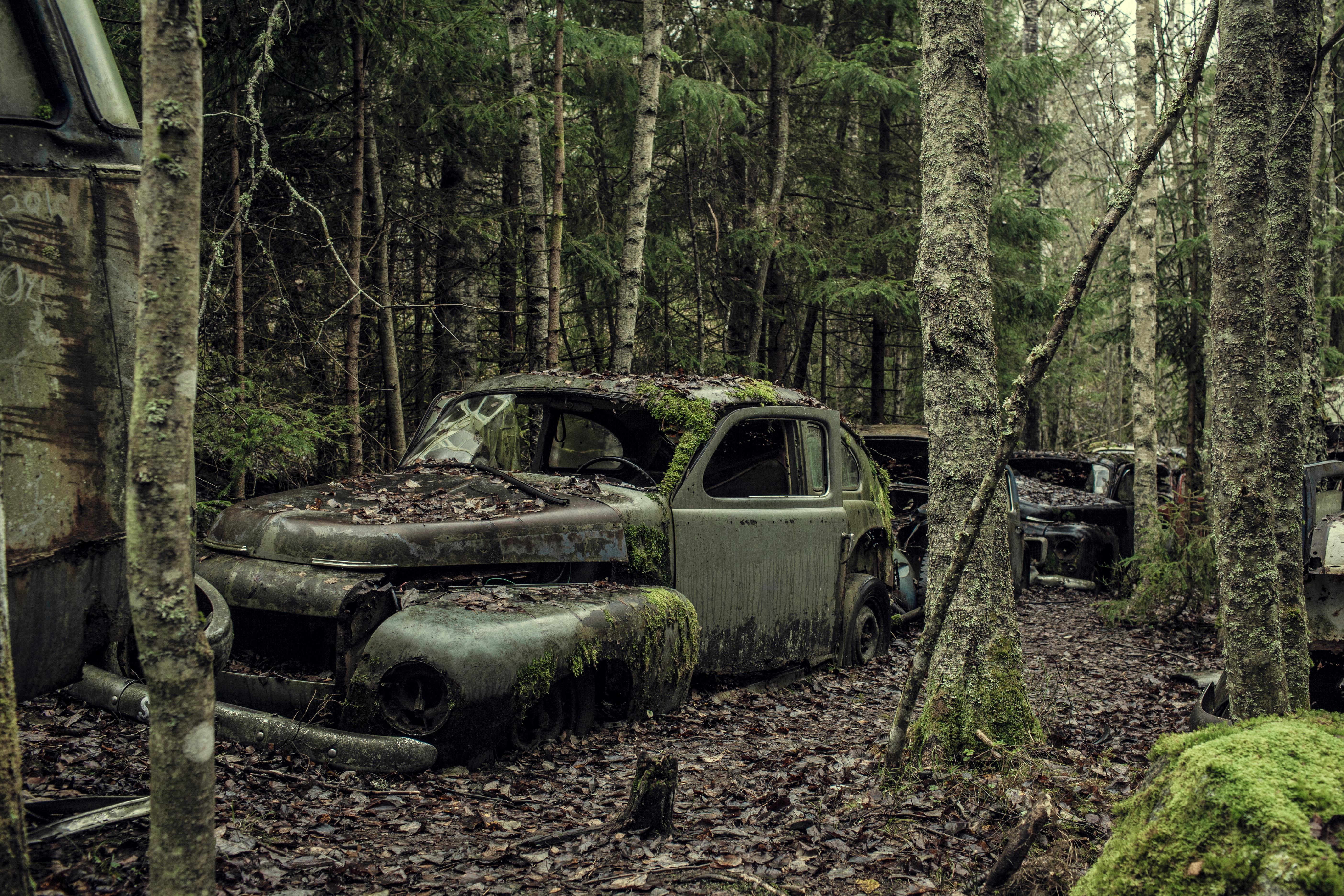old abandoned car in the forest