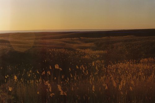 Free Peaceful prairie landscape with golden sunrise over grass fields and distant horizon. Stock Photo