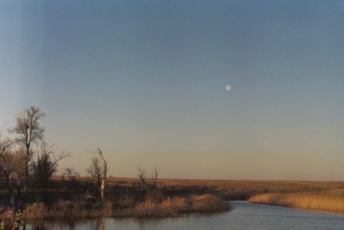 Free Peaceful scene of a field and waterway under a full moon at dusk. Stock Photo