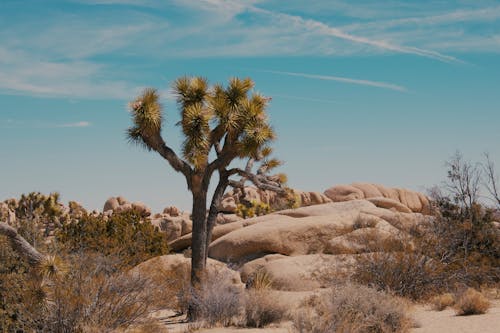 Ảnh lưu trữ miễn phí về @ngoài trời, bầu trời, california