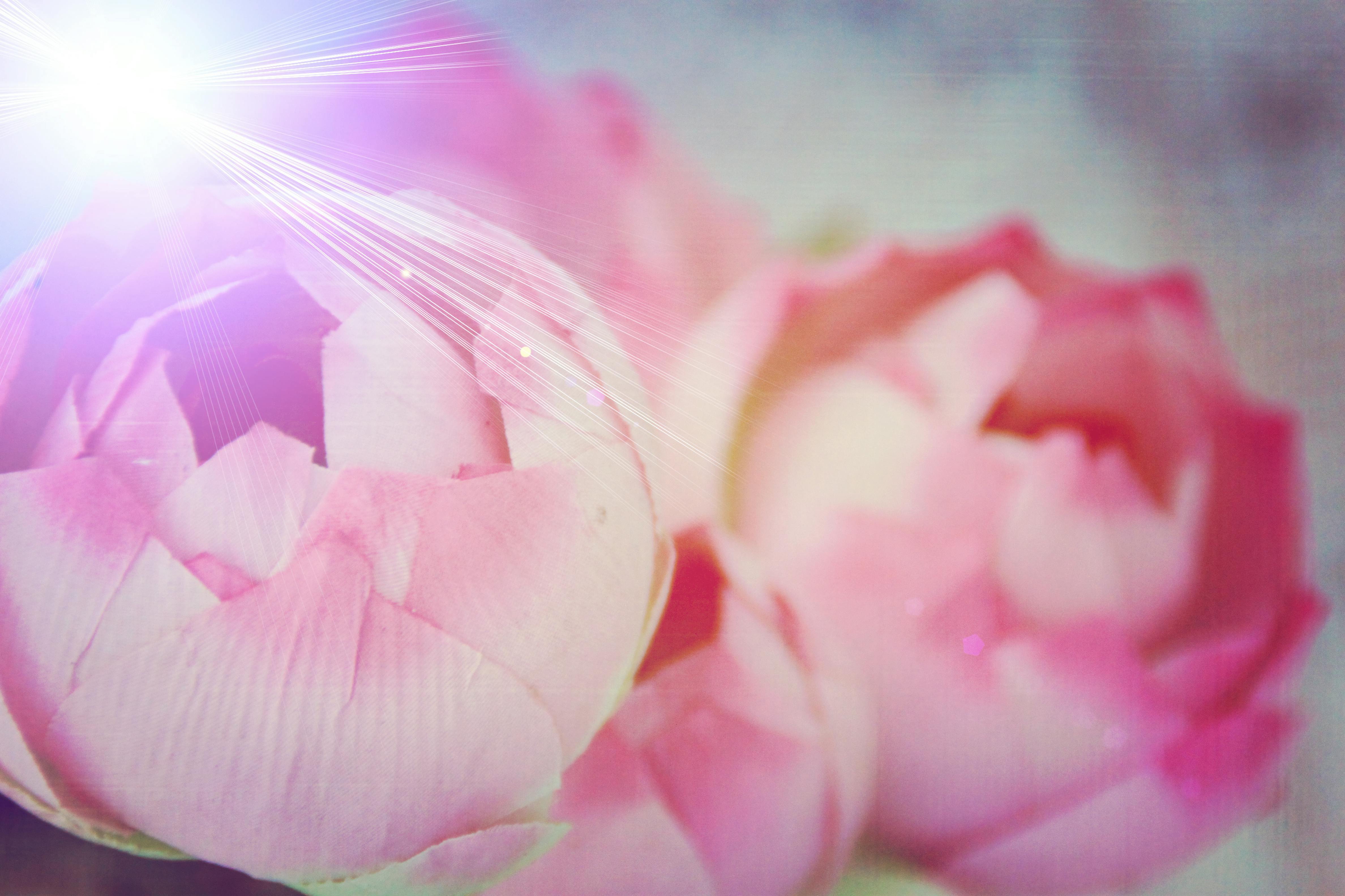 Paquetes listos para ser enviados, representando la logística de un e-commerce exitoso en Barranquilla.