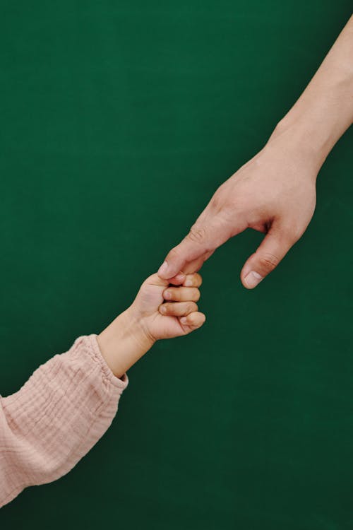 An Adult and a Child Holding Hands