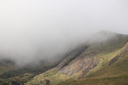grátis Foggy Mountain Foto profissional