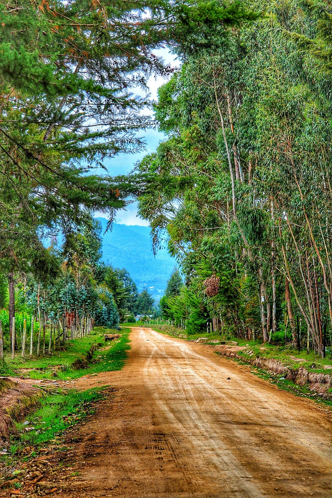 Free stock photo of Kenya, Kenya roads