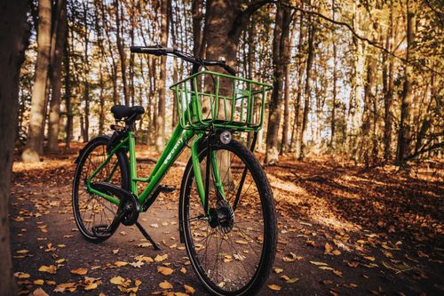 Free Green bicycle on a forest pathway surrounded by autumn leaves, capturing the essence of an outdoor adventure. Stock Photo