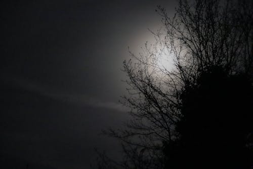 Fotos de stock gratuitas de Luna, luz de la luna, noche