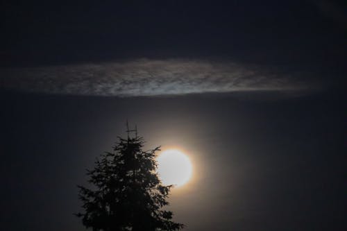 Fotos de stock gratuitas de fondo, Luna, luz de la luna