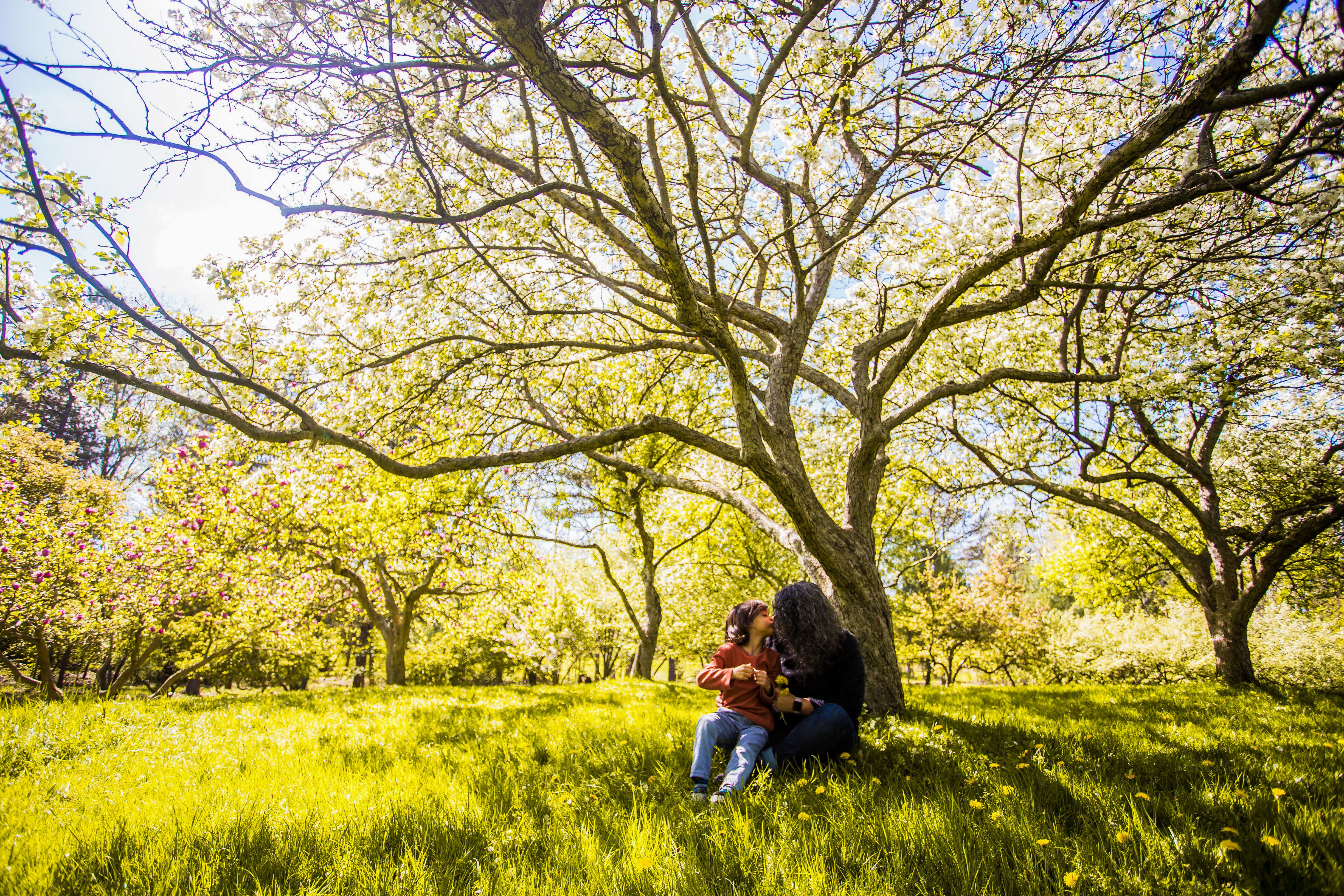 5. Spend Time in Nature