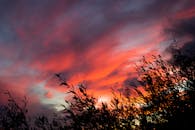 西班牙马拉加的日落令人惊叹，天空明亮，树木呈现剪影