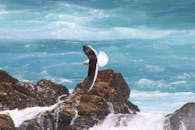 一只海鸥优雅地掠过海岸的岩石，下方是蓝色的海浪