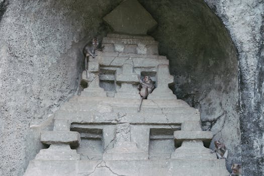 Group of monkeys exploring a stone structure in a cave, natural habitat.