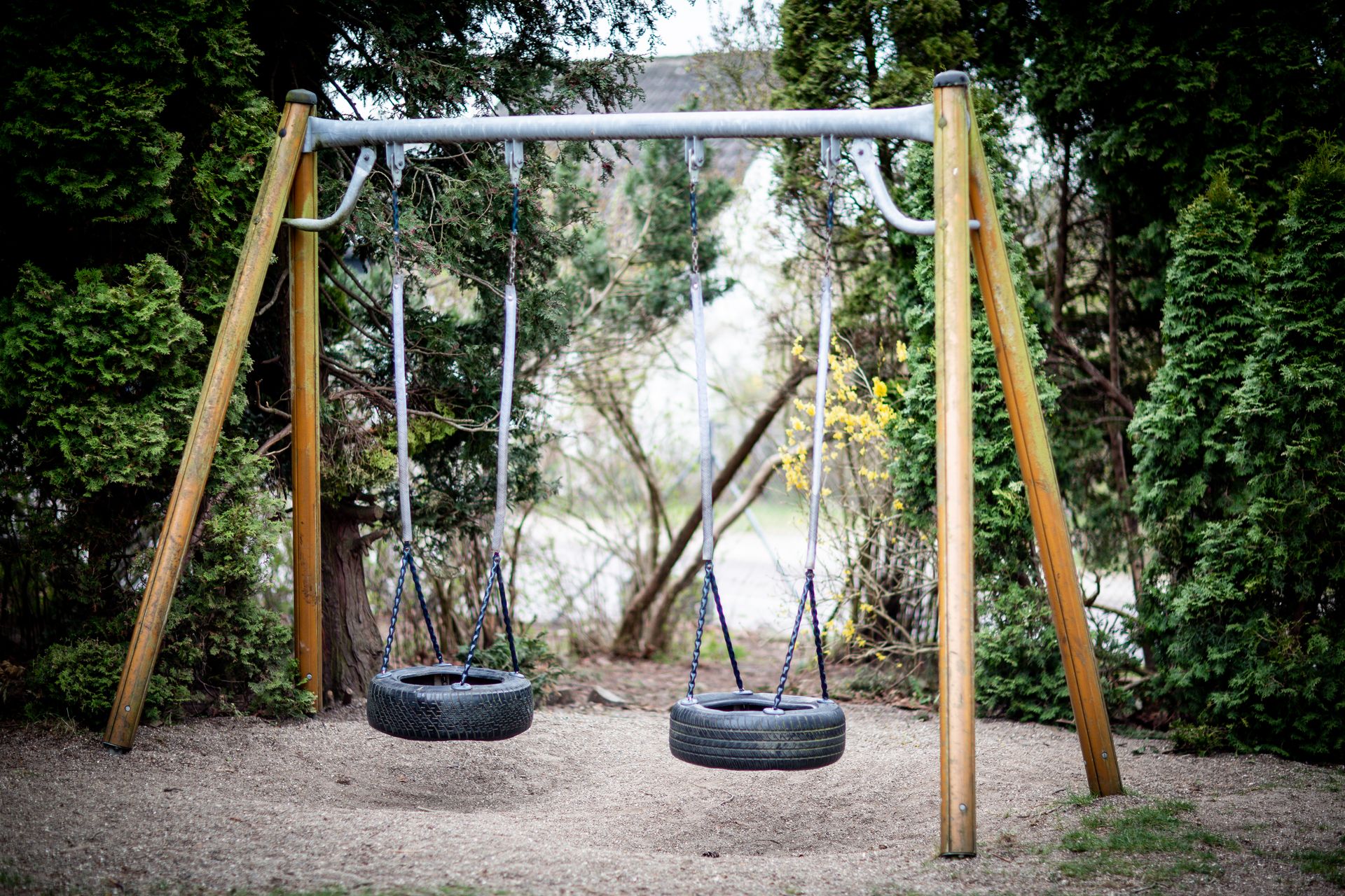 Tire swing set in a serene park surrounded by lush greenery during the day.