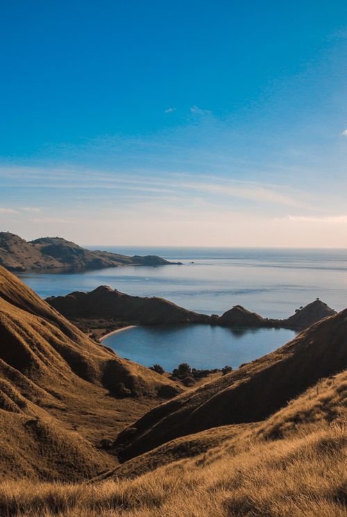 Free Beautiful view of Komodo Island's landscape with rolling hills and sea under a clear blue sky. Stock Photo