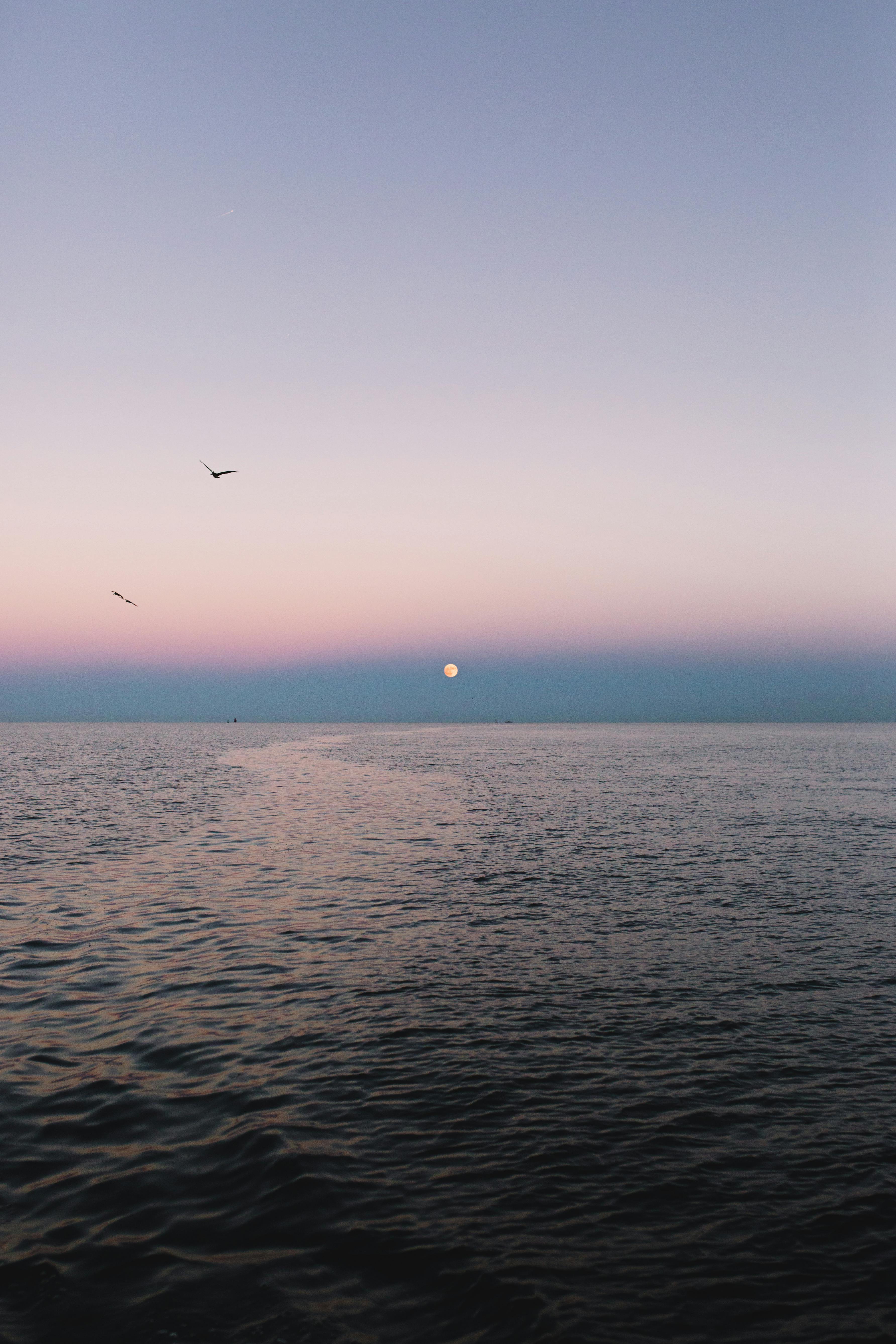 Nhận định cuộc đấu giữa Sunderland với Leeds United tại Ngoại hạng Anh 2025/26 Cùng ngôi nhà dòng keonhacai07 – Cuộc cạnh tranh đối đầu thông tin quyết xác định gắng kỉnh giữa hai đội bóng truyền thống lịch sử dân tộc