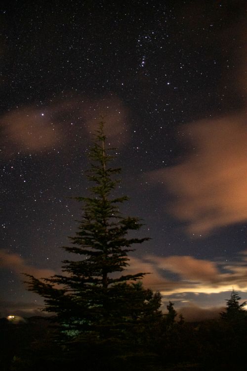 Free A breathtaking view of a starry night sky with a prominent tree silhouette and scattered clouds. Stock Photo