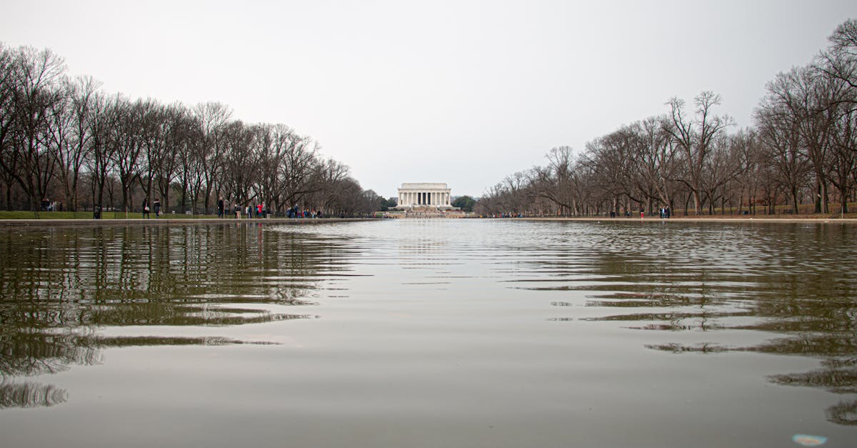 Serene view of the Lincoln Memorial reflected on the Tidal Basin with winter trees lining the edges.