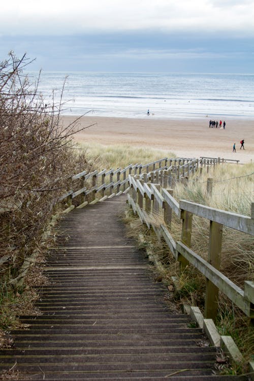 Free stock photo of beach, path, people