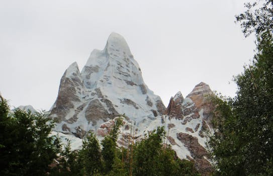晴朗的天空下，风景秀丽的山峰被郁郁葱葱的绿树包围