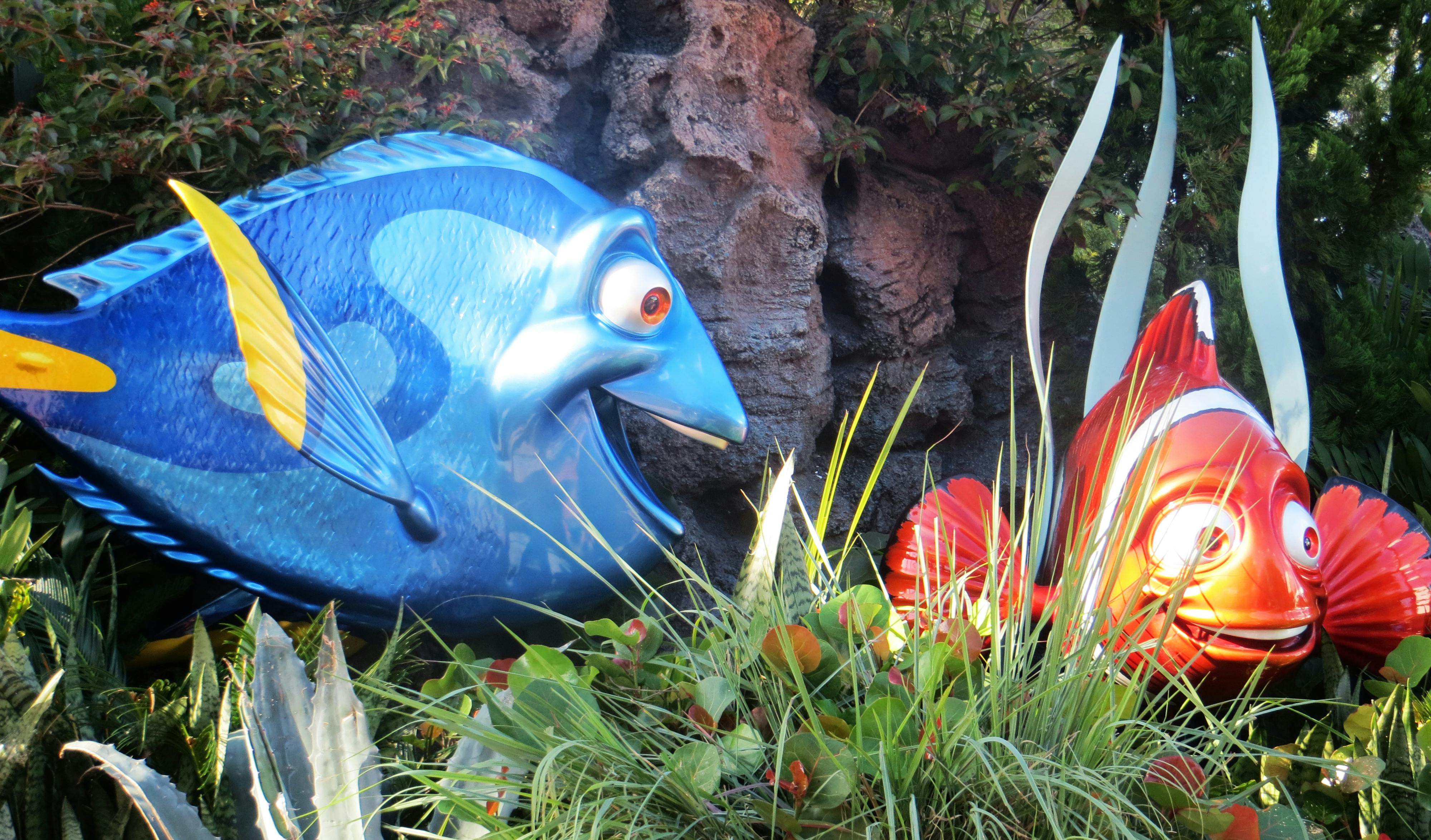 Free stock photo of aquarium, dory, epcot