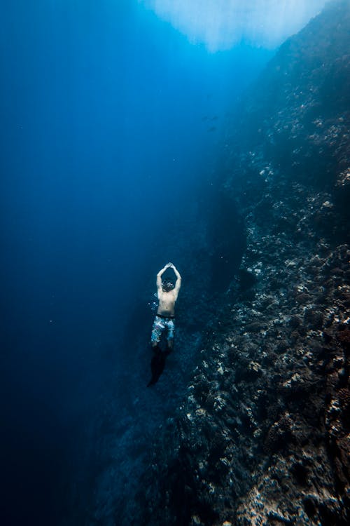 Immagine gratuita di divertimento, hawaii, immersione