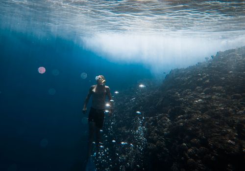 Explore the underwater world of Hawaii with a freediver near vibrant coral reefs.