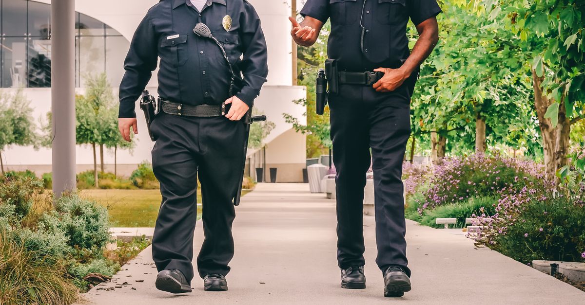 Two Police Officers Walking on the Pathway · Free Stock Photo
