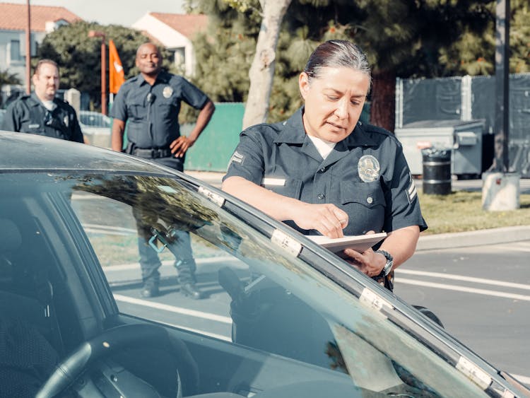 A Policewoman At Work