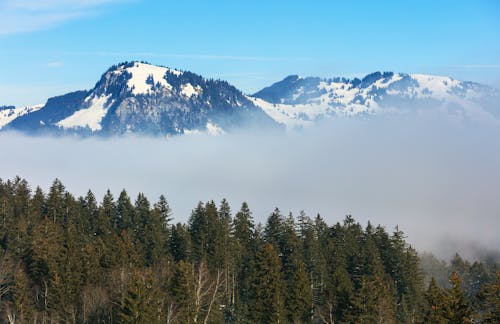 Kostenloses Stock Foto zu abhang, alpen, alpin