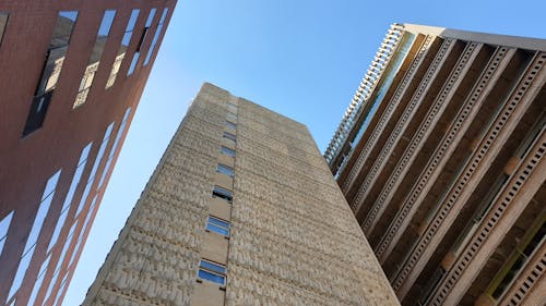 Free stock photo of building, city, urban