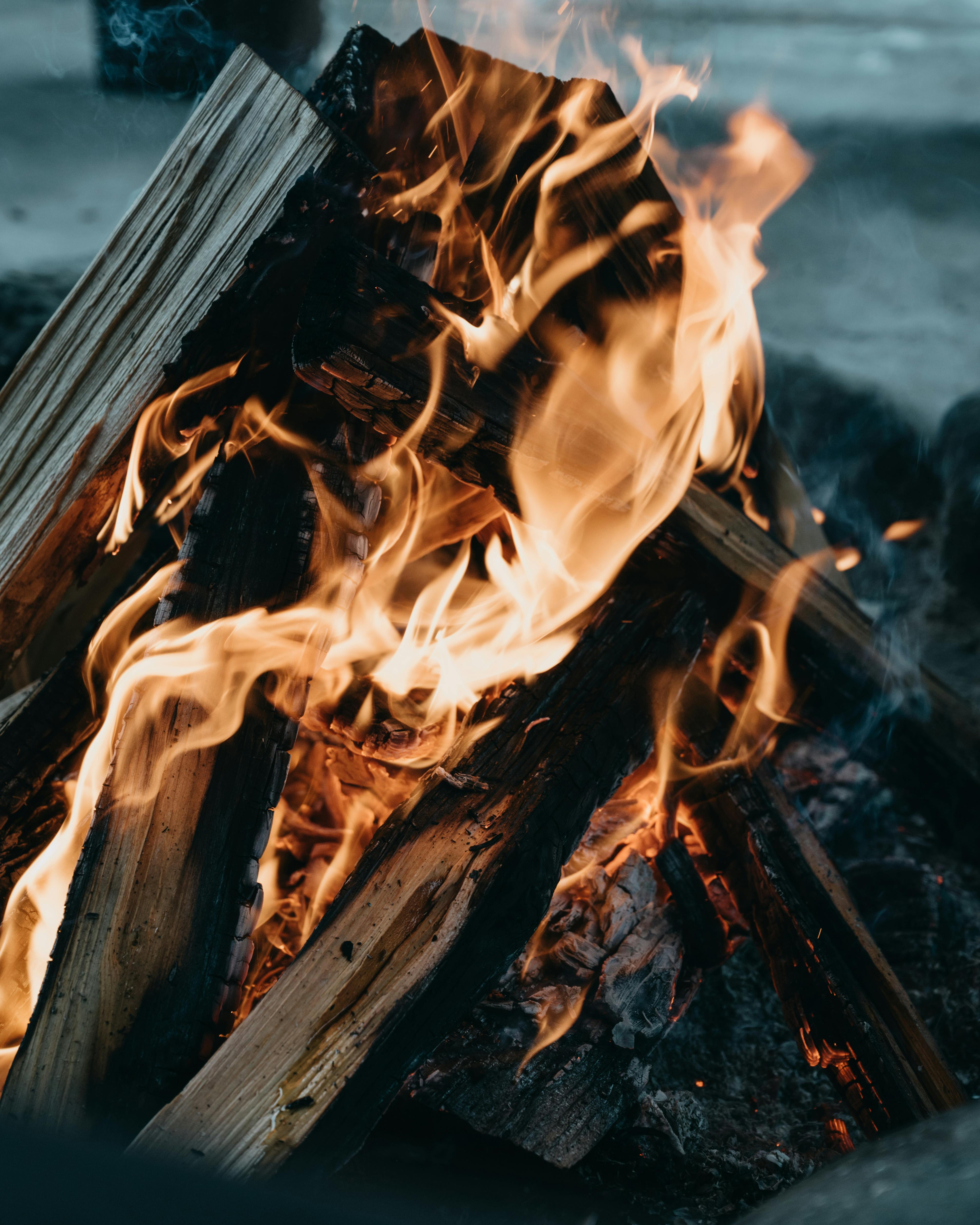 burning campfire with bright flames in nature