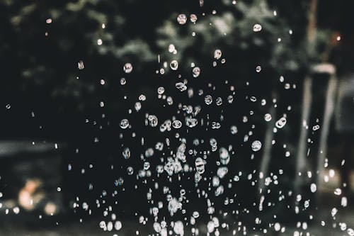 Free Water Dew Photography Stock Photo