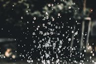 森林背景模糊，悬浮在空气中的水滴呈现迷人的宏观图像