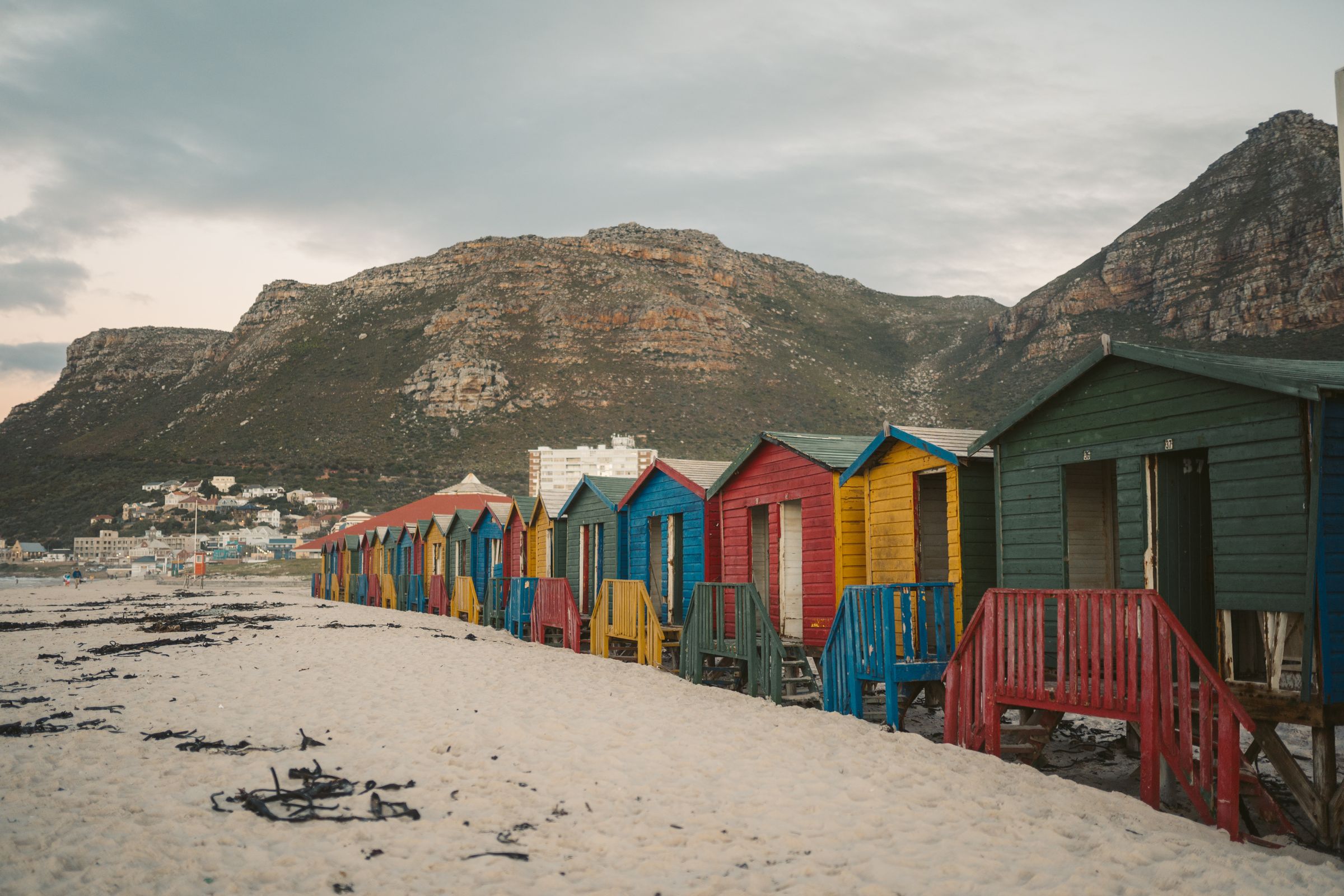 Pinguins Boulders Beach