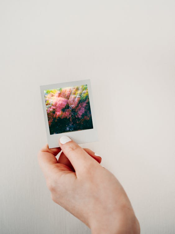 Free Person Holding White Picture Frame Stock Photo